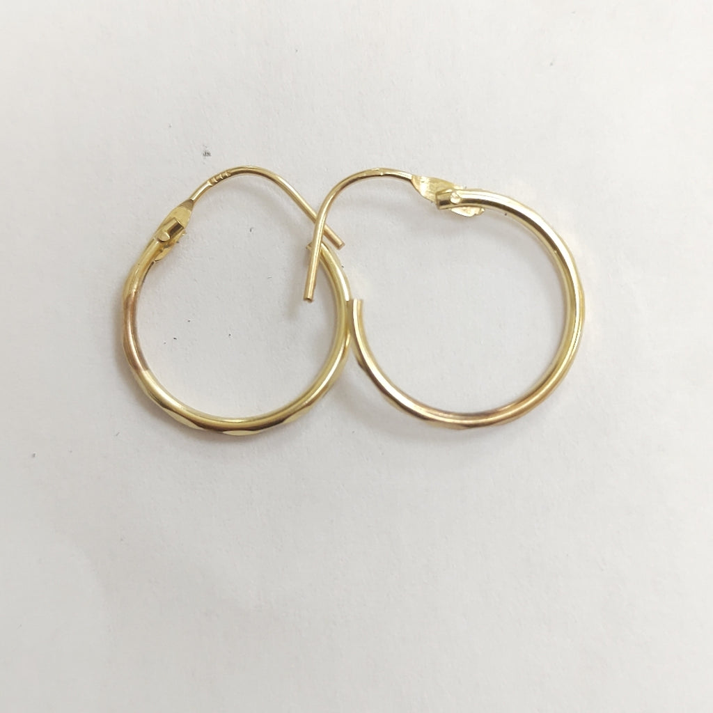 ARRACADAS PAR ORO 10 K 0.7 GRMS (SEMINUEVO)