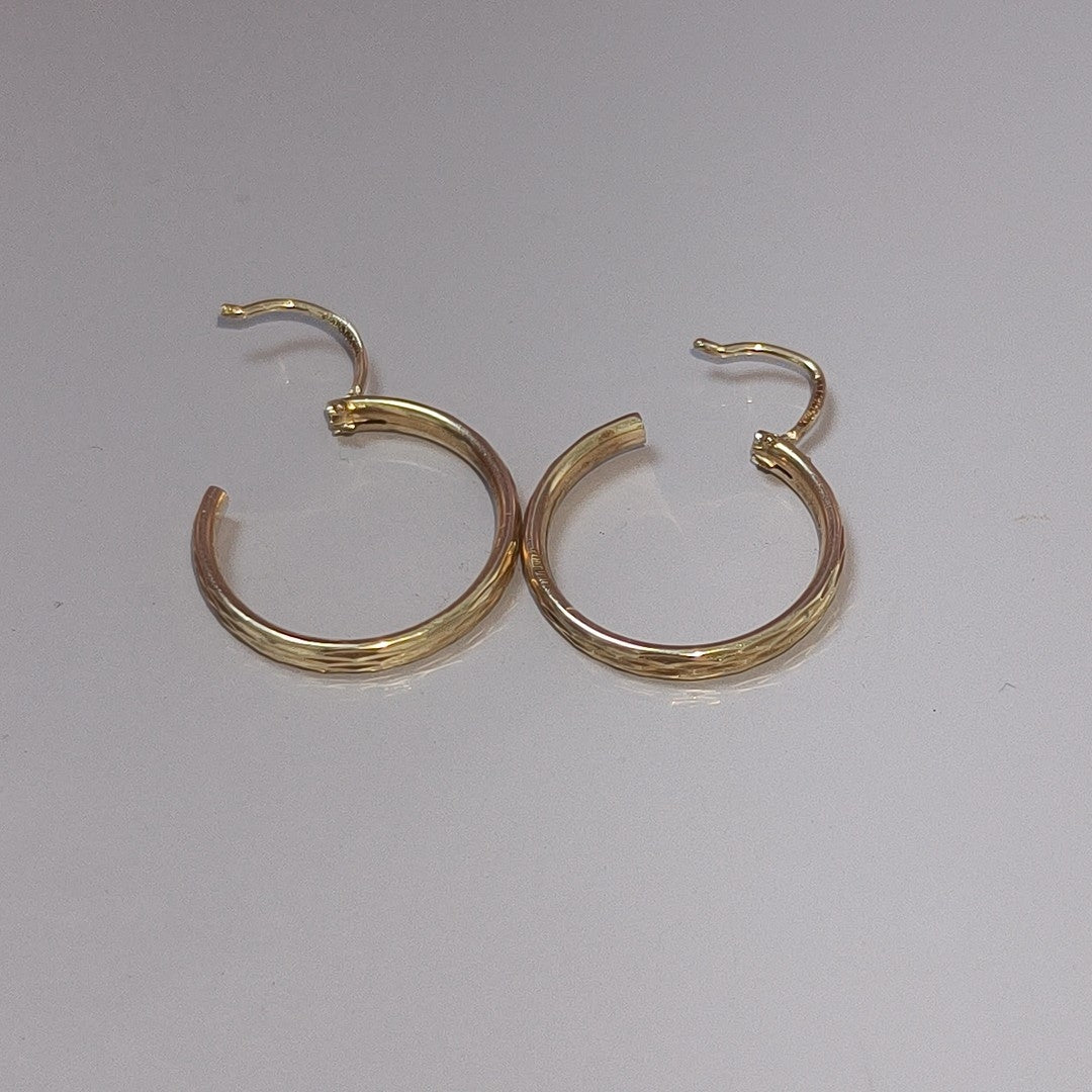 ARRACADAS PAR ORO 10 K 1.4 GRMS (SEMINUEVO)