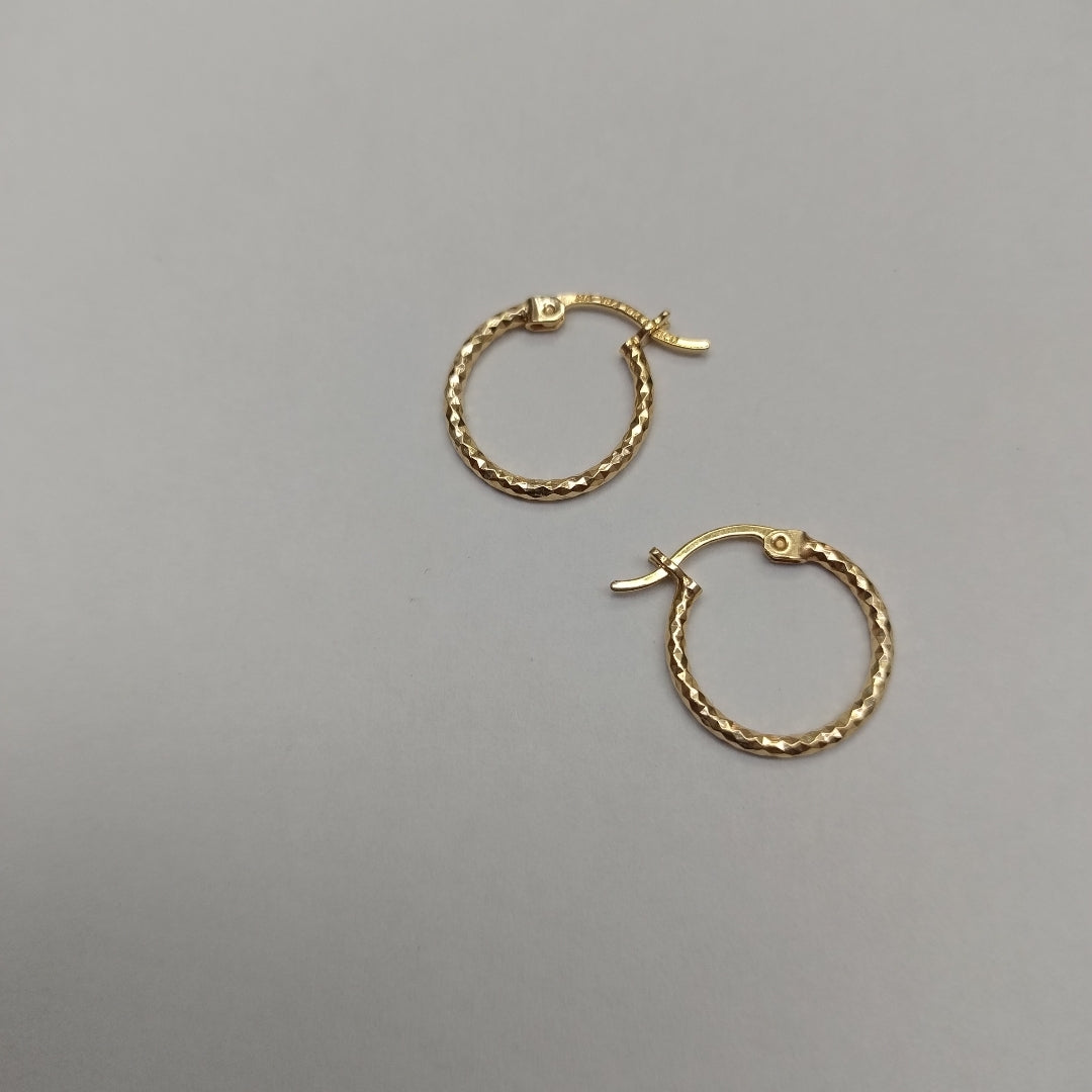 ARRACADAS PAR ORO 10 K 1 GRMS (SEMINUEVO)
