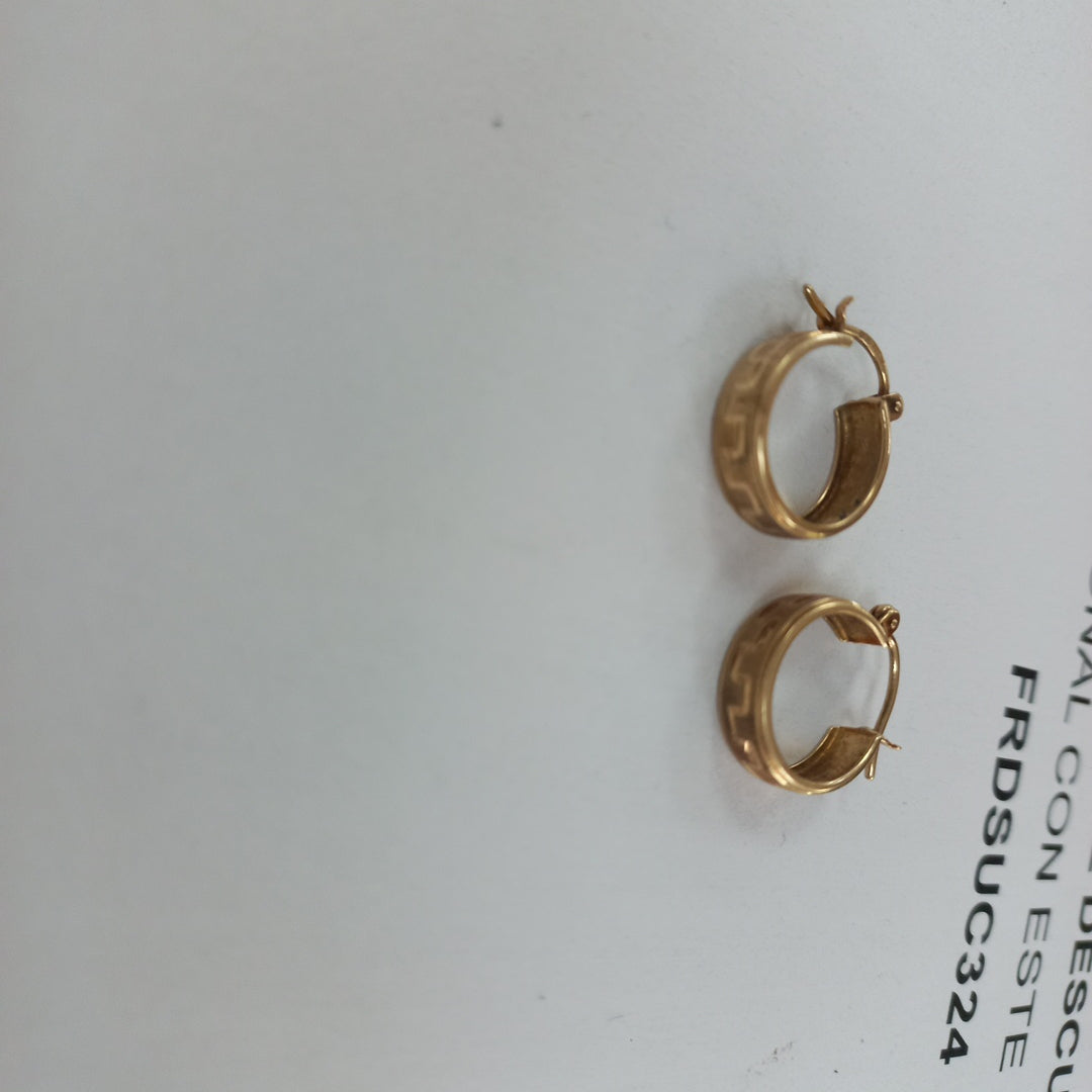 ARRACADAS PAR ORO 10 K 1.3 GRMS (SEMINUEVO)