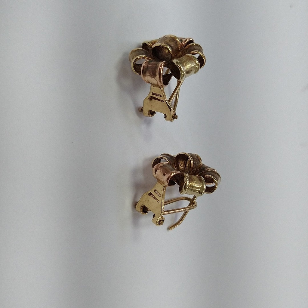 ARETES PAR ORO 10 K 3.1 GRMS (SEMINUEVO)