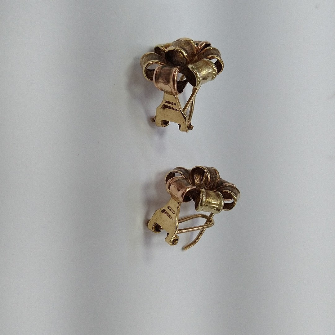 ARETES PAR ORO 10 K 3.1 GRMS (SEMINUEVO)