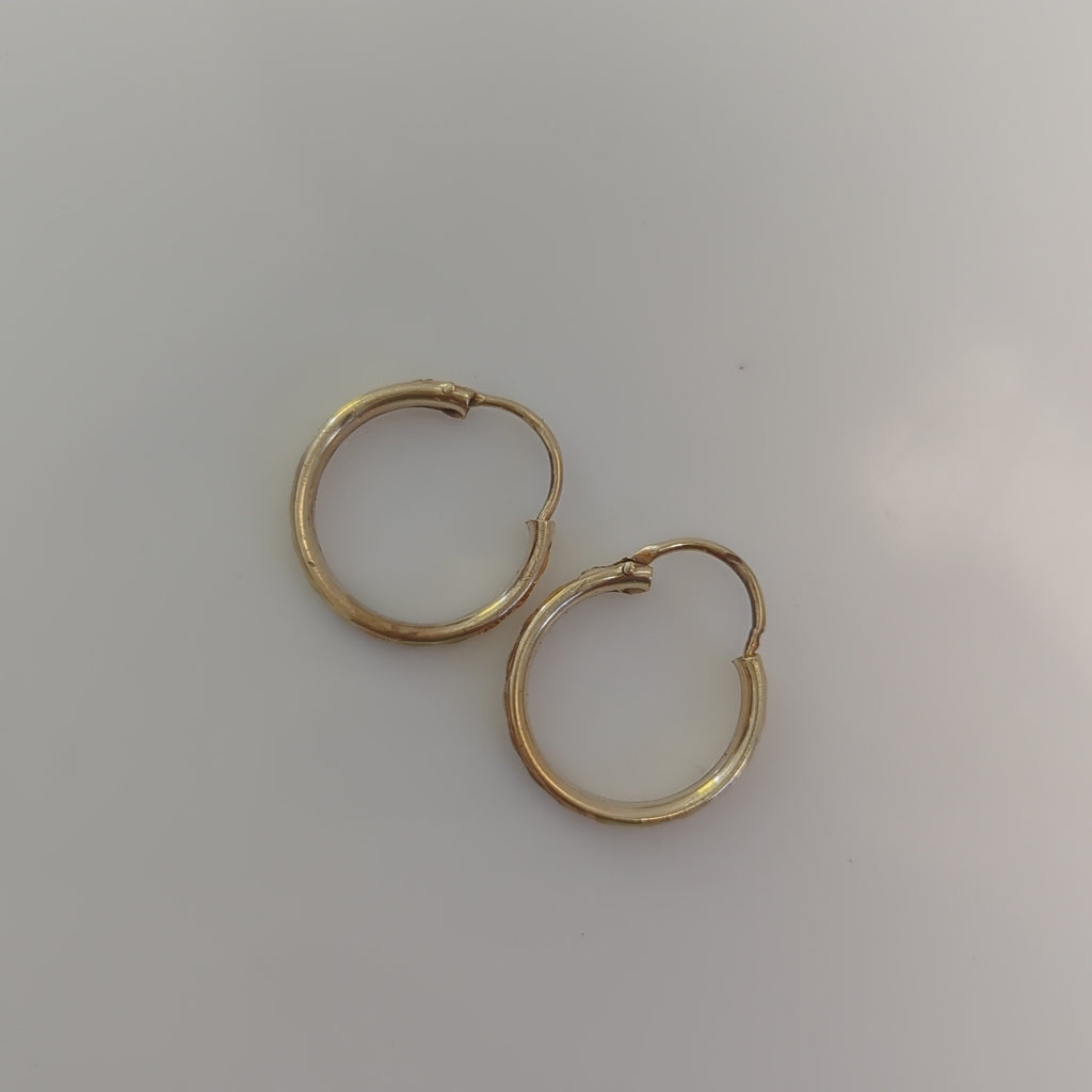 ARRACADAS PAR ORO 10 K 1.1 GRMS (SEMINUEVO)