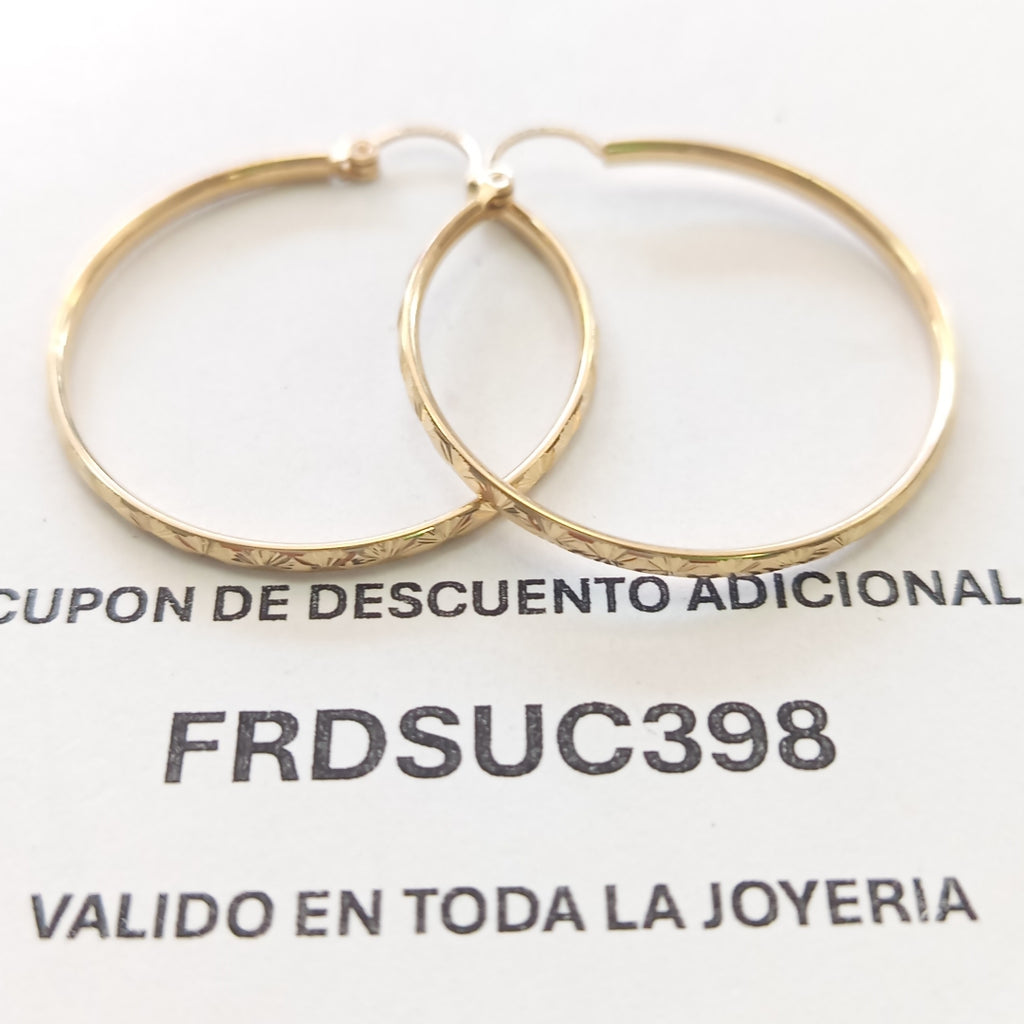 ARRACADAS PAR ORO 10 K 3.1 GRMS (SEMINUEVO)