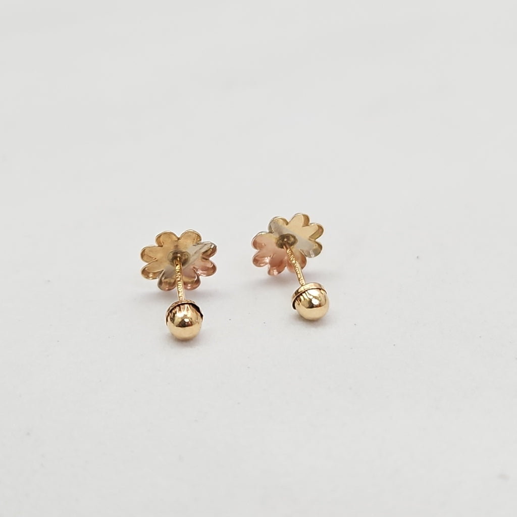 ARETES PAR ORO 10 K 0.3 GRMS (SEMINUEVO)