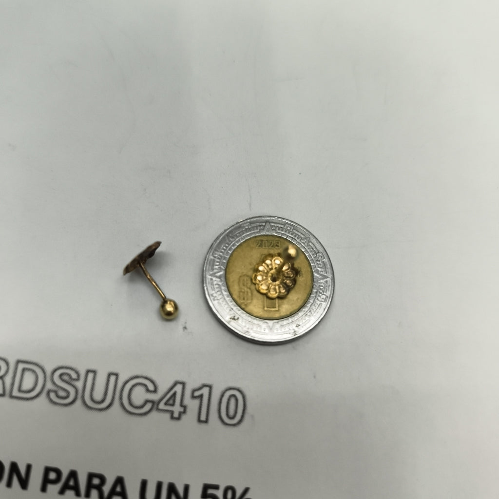 BROQUELES PAR ORO 10 K 0.2 GRMS (SEMINUEVO)