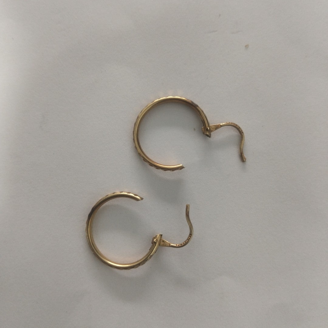 ARRACADAS PAR ORO 10 K 1.1 GRMS (SEMINUEVO)