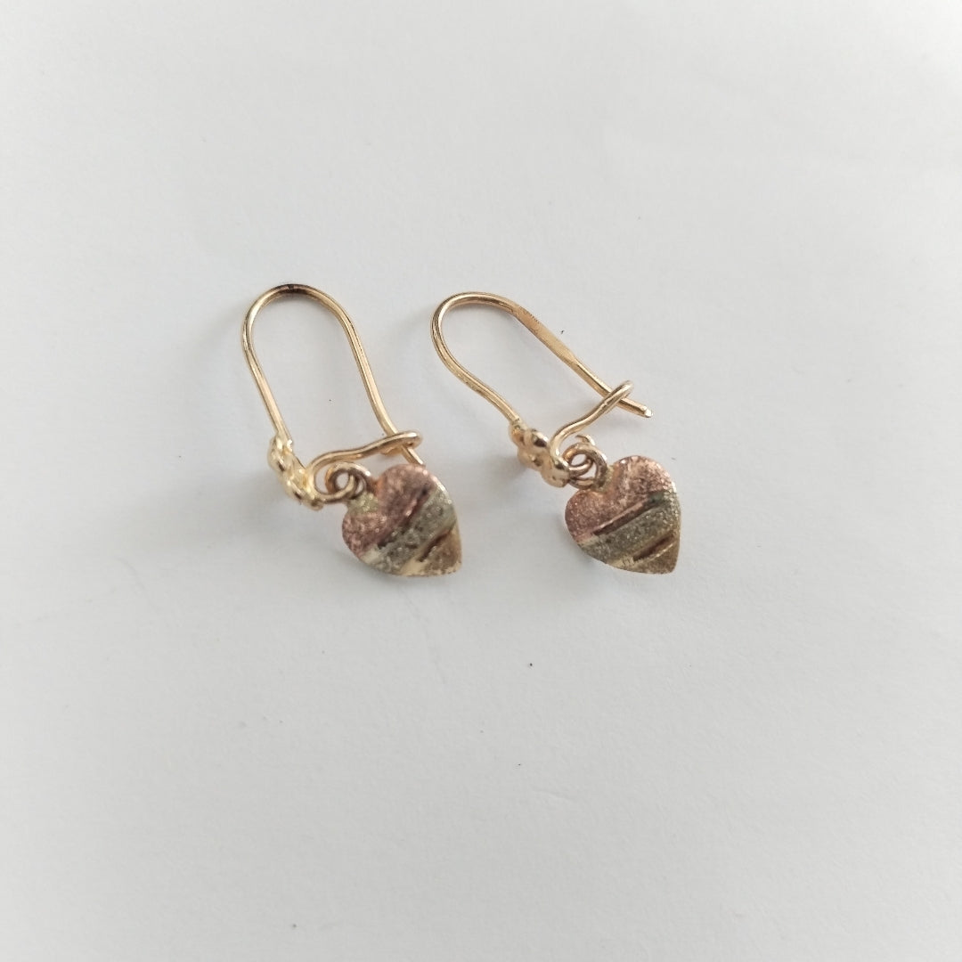 ARETES PAR ORO 10 K 1 GRMS (SEMINUEVO)