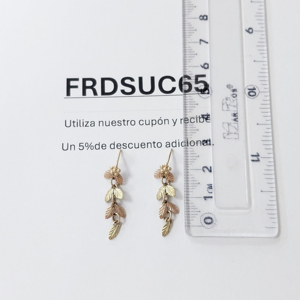 ARETES PAR ORO COMBINADO 10 K 1,30 GRMS (SEMINUEVO)