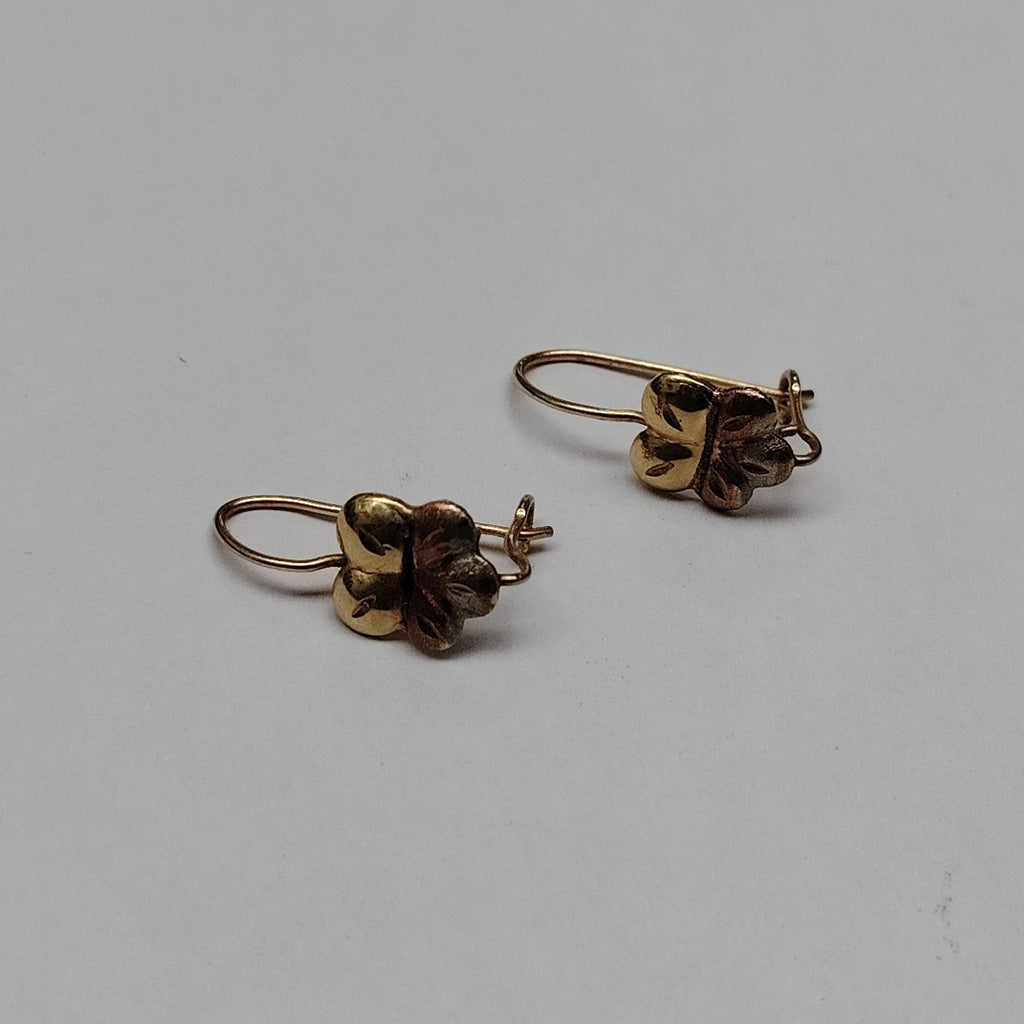 ARETES PAR ORO 10 K 1 GRMS (SEMINUEVO)