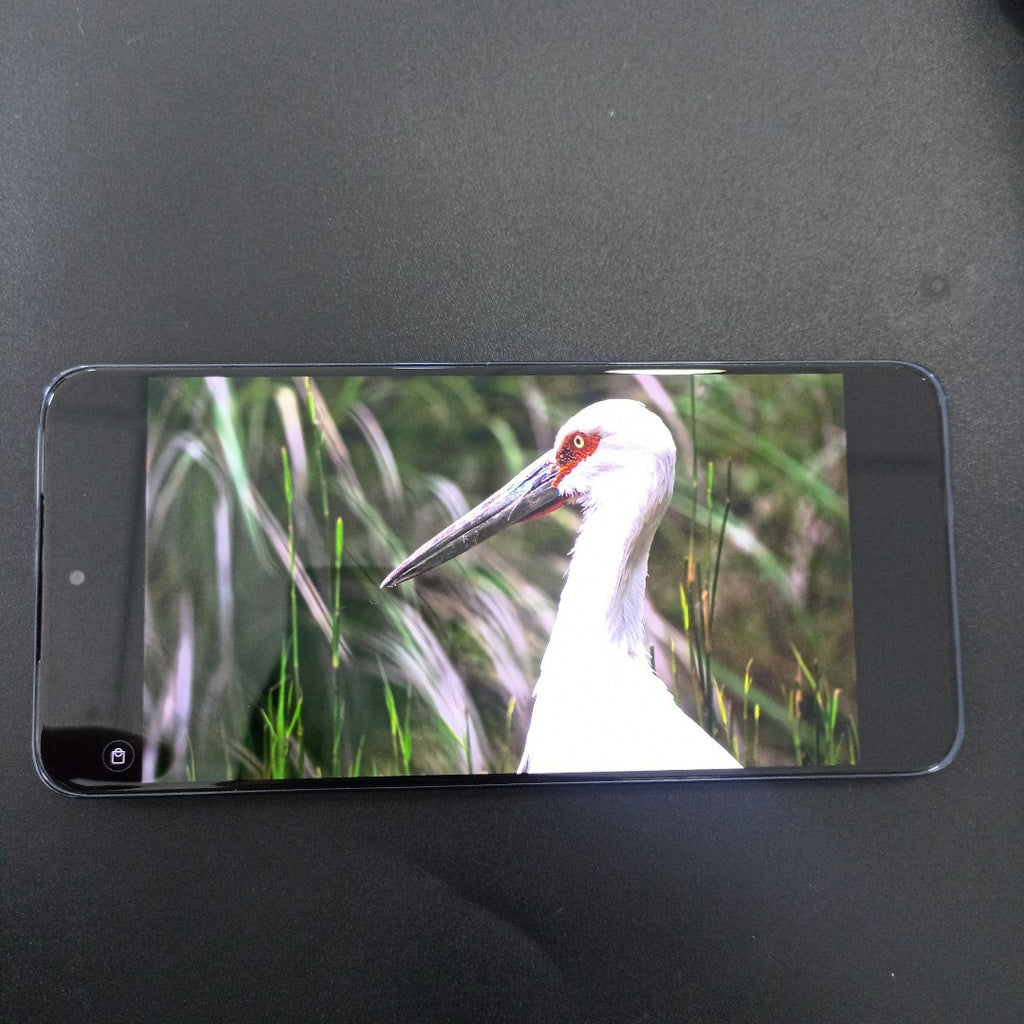 CELULAR MOTOROLA EGDE 60 NEO XT2509-1 (2025) 256 GB 12 GB RAM (SEMINUEVO)
