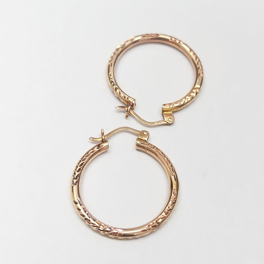 ARETES PAR ORO 10 K 1,00 GRMS (SEMINUEVO)