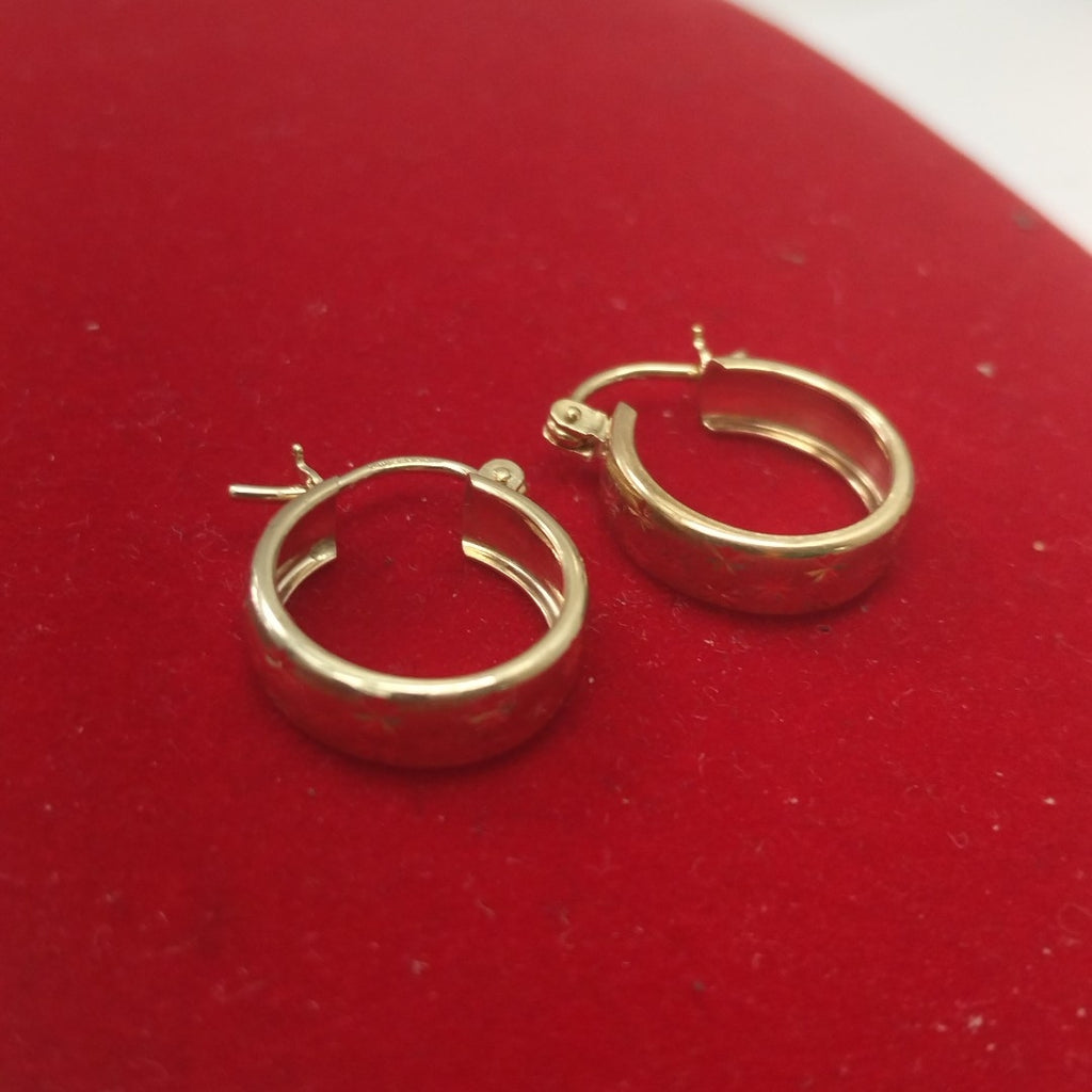 ARRACADAS PAR ORO 10 K 1,80 GRMS (SEMINUEVO)