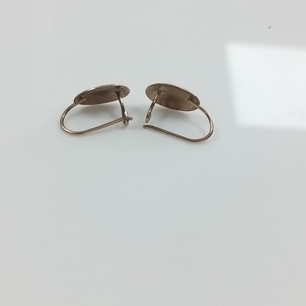 ARETES PAR ORO 10 K 1 GRMS (SEMINUEVO)
