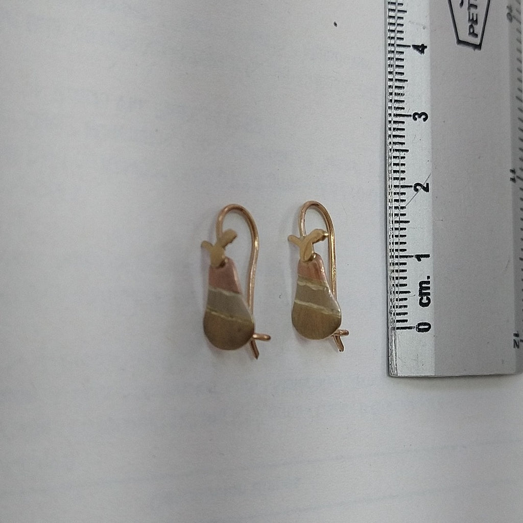 ARETES PAR ORO 10 K 1 GRMS (SEMINUEVO)
