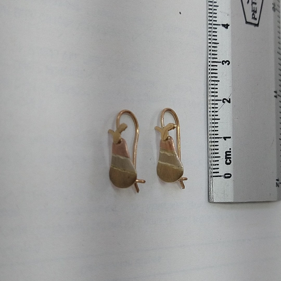 ARETES PAR ORO 10 K 1 GRMS (SEMINUEVO)