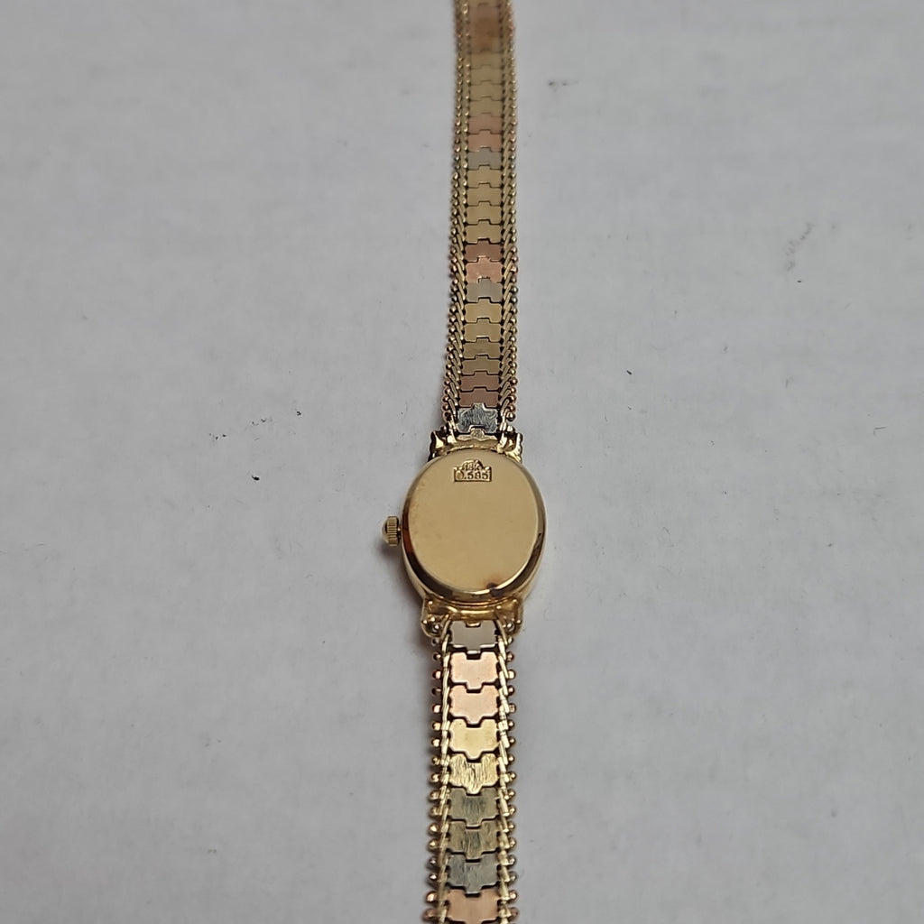 RELOJ CAJA Y PULSO ORO ORO 14 K 17.3 GRMS (SEMINUEVO)
