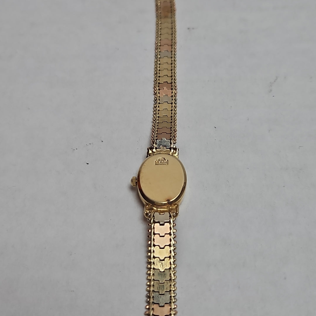 RELOJ CAJA Y PULSO ORO ORO 14 K 17.3 GRMS (SEMINUEVO)
