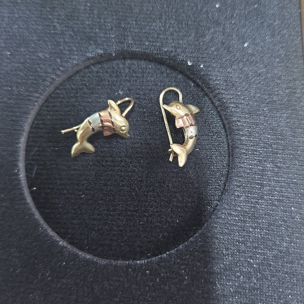 ARETES PAR ORO 10 K 1.3 GRMS (SEMINUEVO)