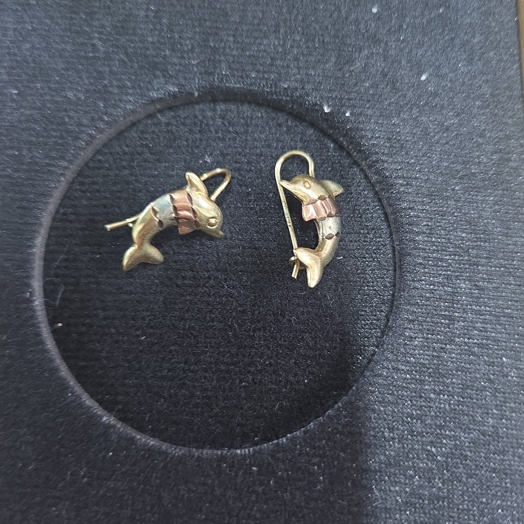 ARETES PAR ORO 10 K 1.3 GRMS (SEMINUEVO)