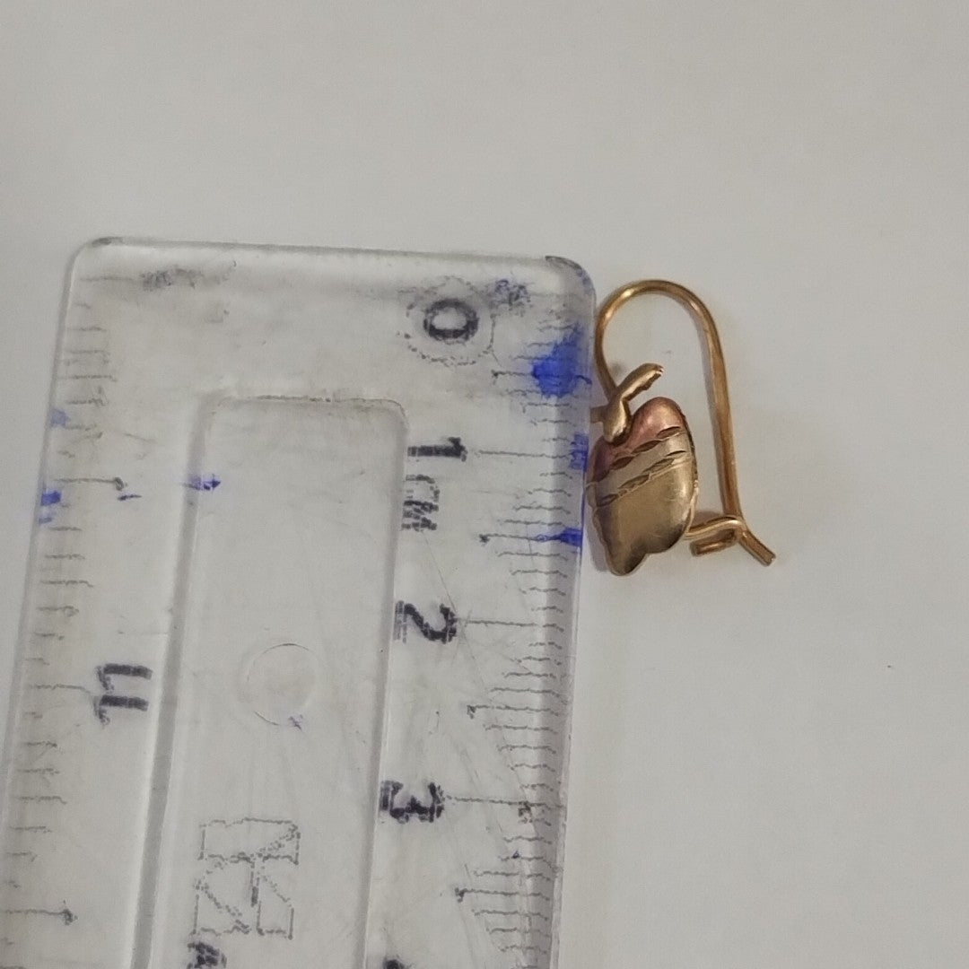 ARETES PAR ORO 10 K 1.3 GRMS (SEMINUEVO)