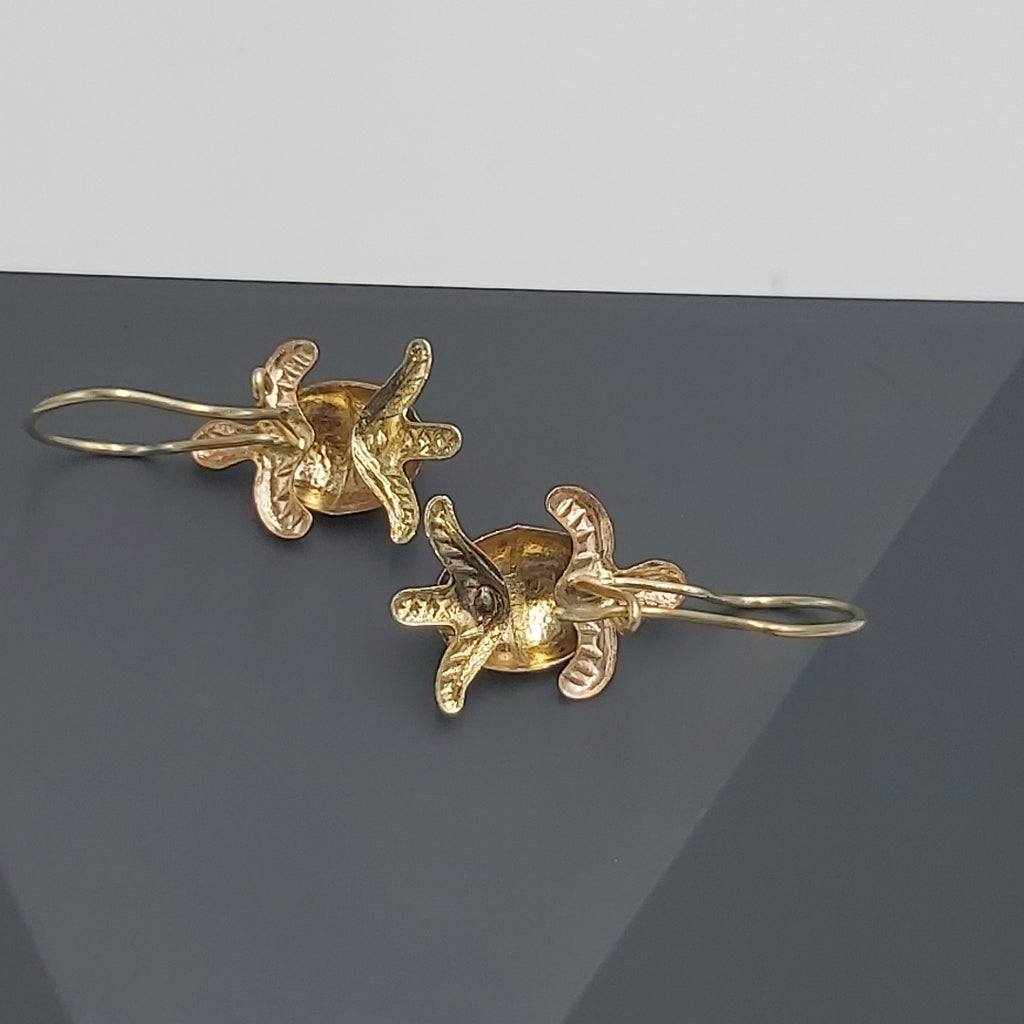 ARETES PAR ORO 10 K 1.3 GRMS (SEMINUEVO)