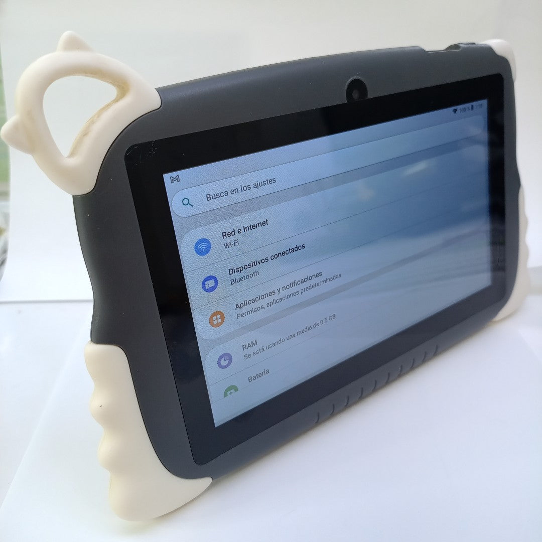 TABLETA OTRAS MARCAS OTROS MODELOS 256 GB 8 GB RAM (SEMINUEVO)