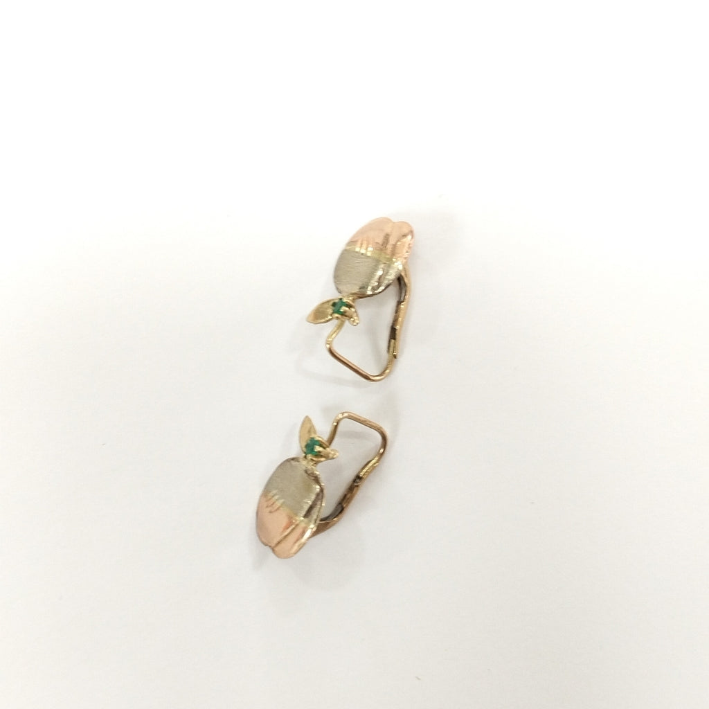 ARETES PAR ORO 10 K 1.6 GRMS (SEMINUEVO)