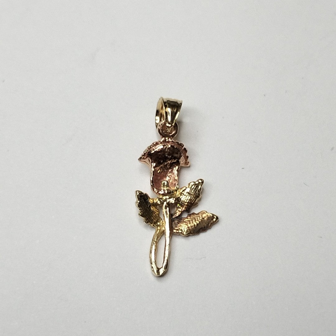 DIJE ORO 14 K 1,00 GRMS (SEMINUEVO)