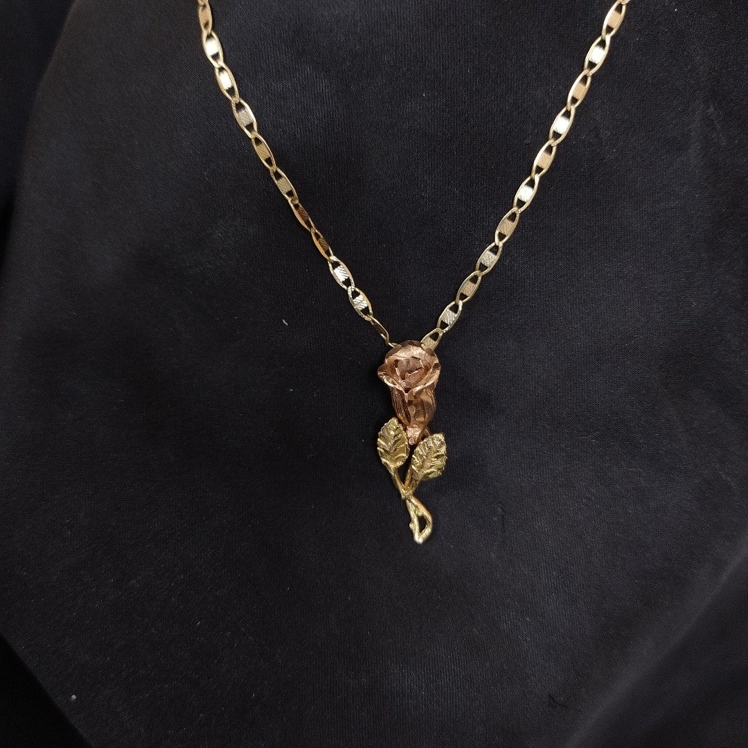 CADENA, DIJE ORO 10 K 4.6 GRMS (SEMINUEVO)