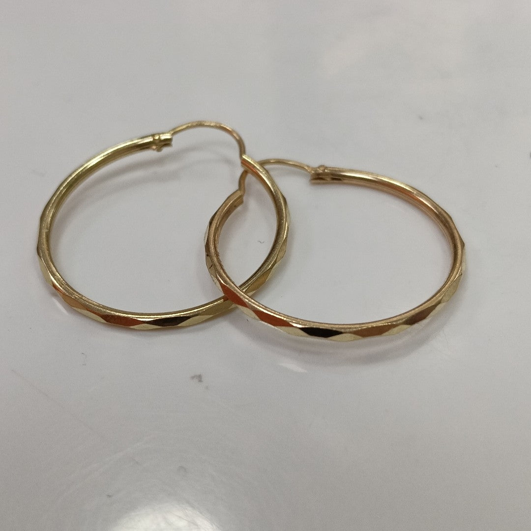 ARRACADAS PAR ORO 10 K 1.7 GRMS (SEMINUEVO)
