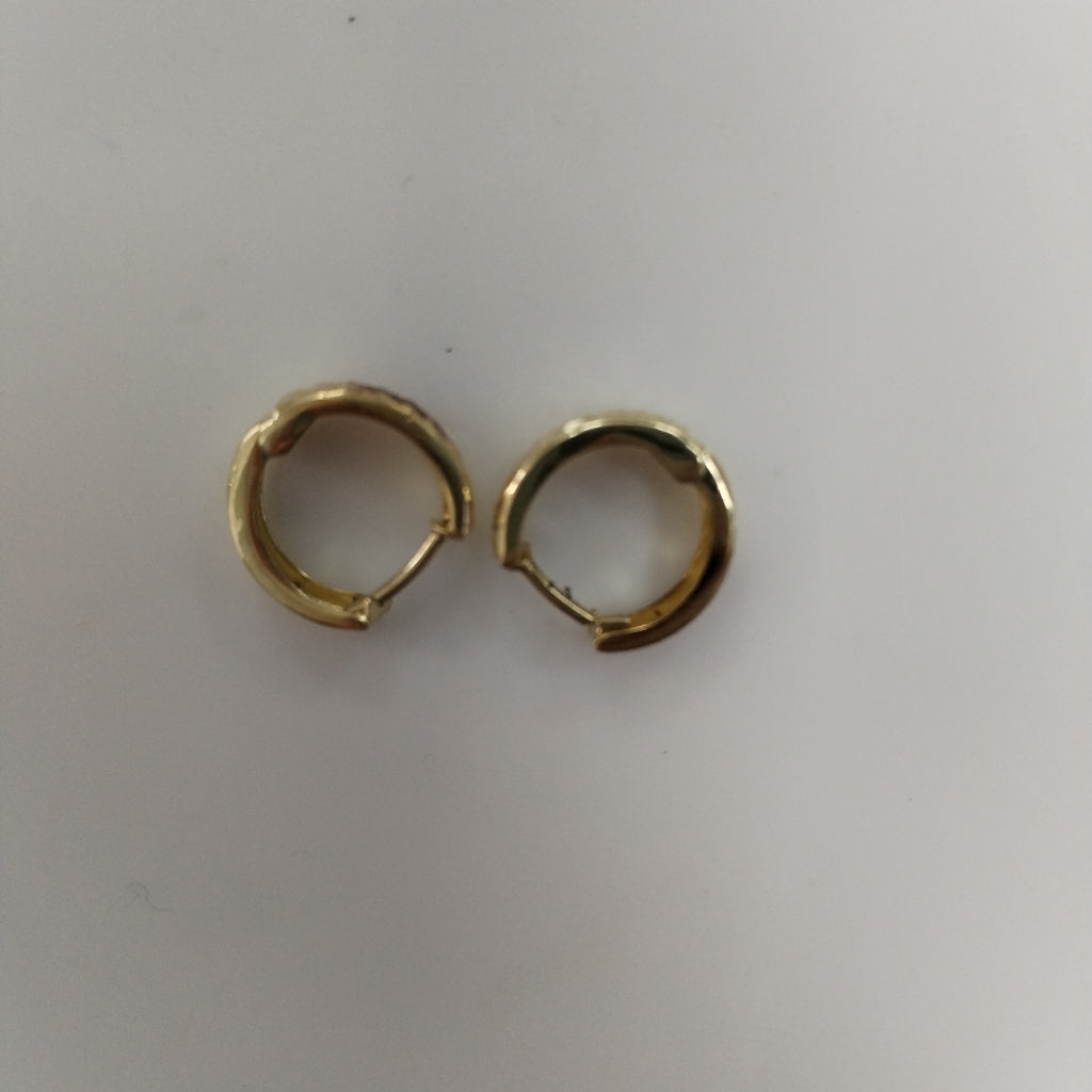 ARRACADAS PAR ORO 10 K 0.9 GRMS (SEMINUEVO)