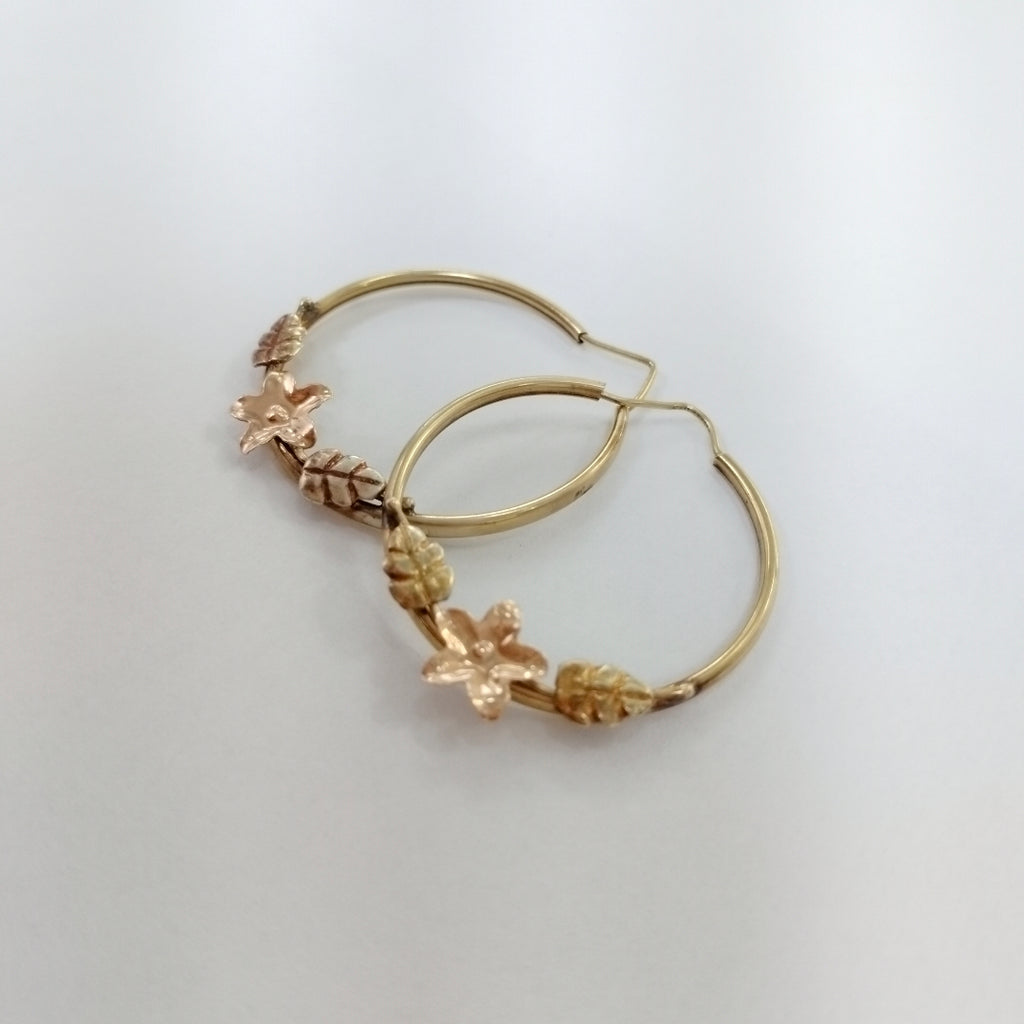 ARRACADAS PAR ORO 14 K 5,00 GRMS (SEMINUEVO)