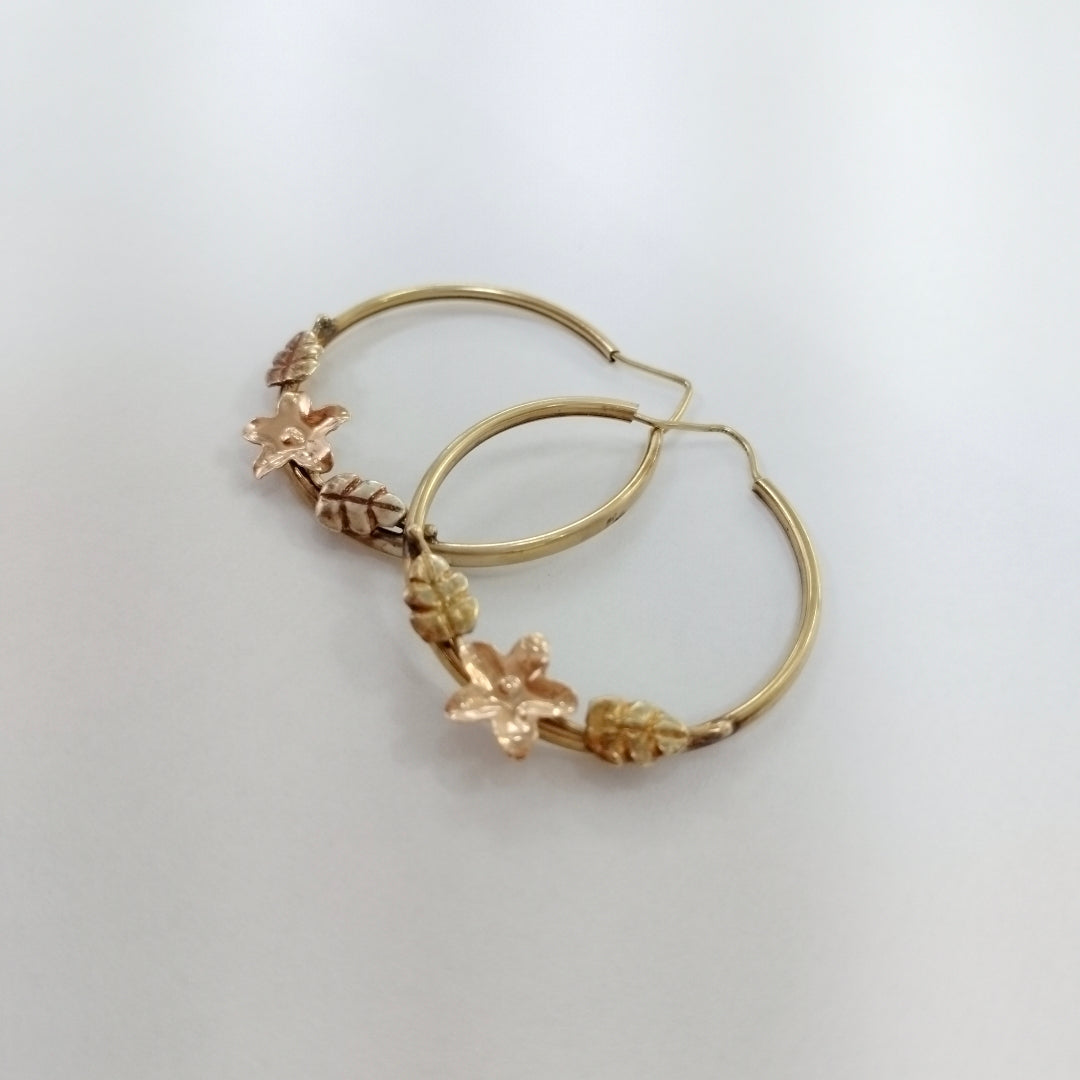 ARRACADAS PAR ORO 14 K 5,00 GRMS (SEMINUEVO)