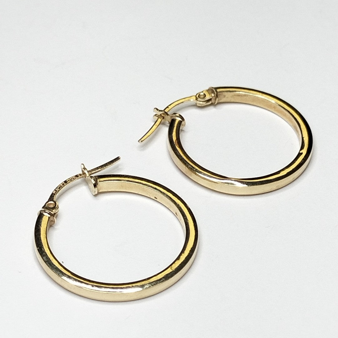 ARRACADAS PAR ORO 10 K 1.2 GRMS (SEMINUEVO)