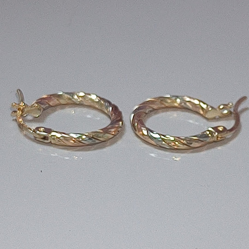 ARETES PAR ORO 10 K 1,90 GRMS (SEMINUEVO)
