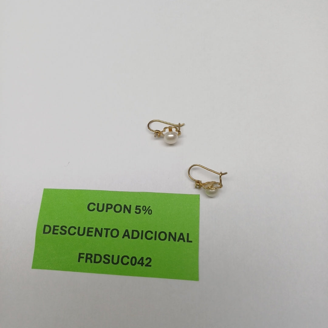ARETES PAR ORO 10 K 1.3 GRMS (SEMINUEVO)