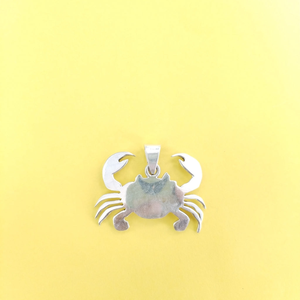 ARETES PAR, DIJE PLATA 7.7 GRMS (SEMINUEVO)