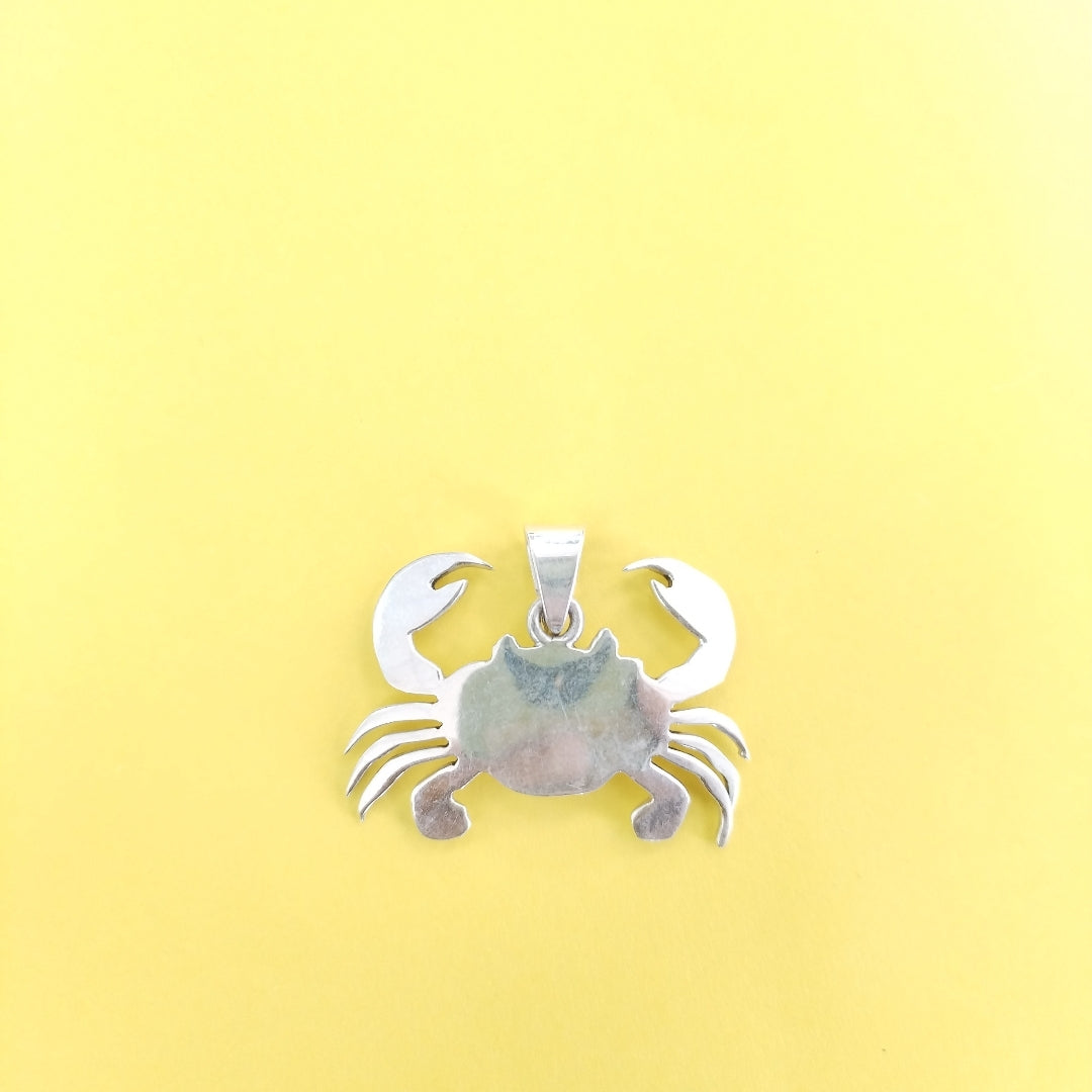 ARETES PAR, DIJE PLATA 7.7 GRMS (SEMINUEVO)