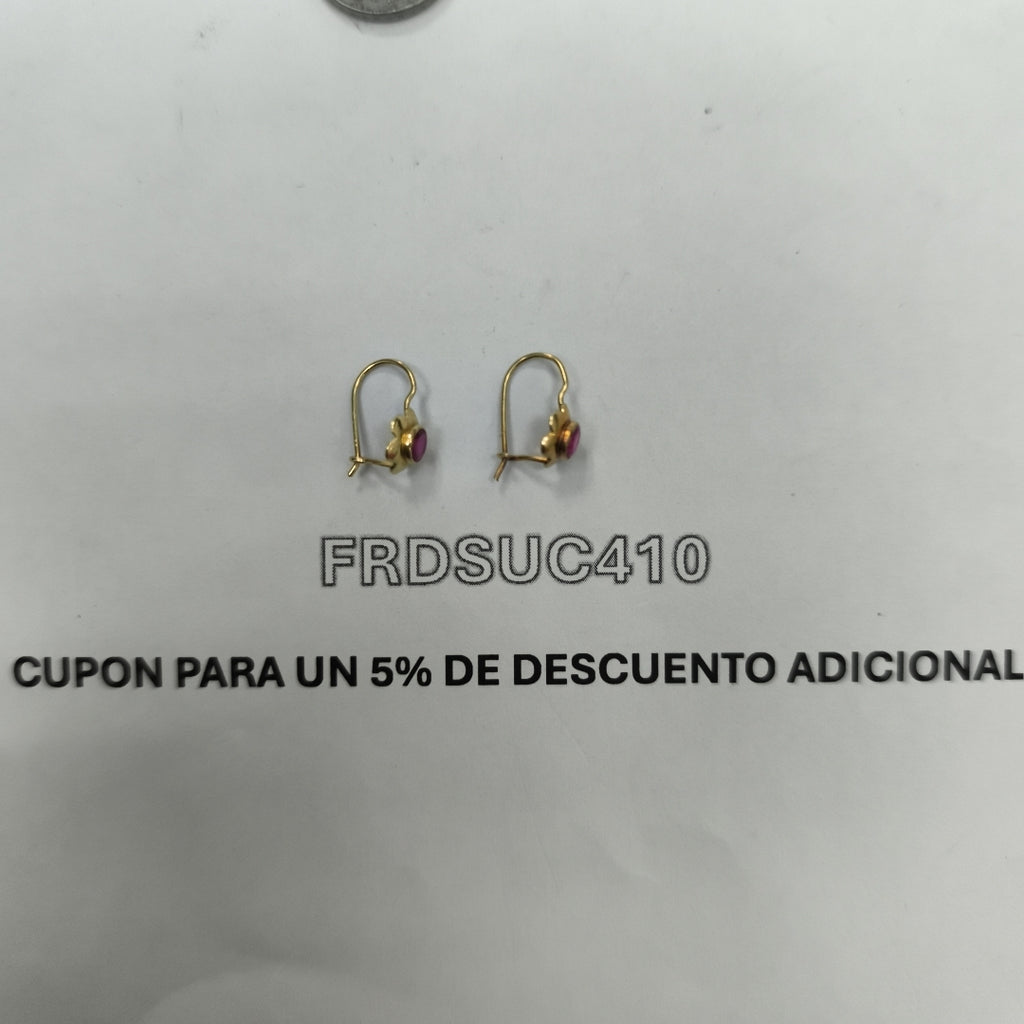 ARETES PAR ORO 10 K 0.6 GRMS (SEMINUEVO)