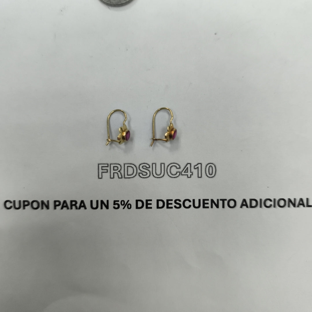 ARETES PAR ORO 10 K 0.6 GRMS (SEMINUEVO)