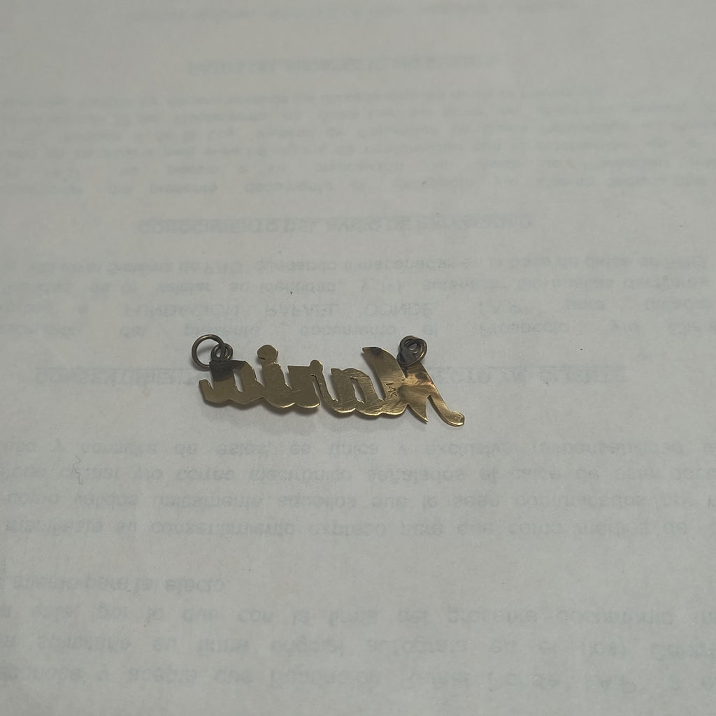 DIJE ORO 14 K 1.4 GRMS (SEMINUEVO)