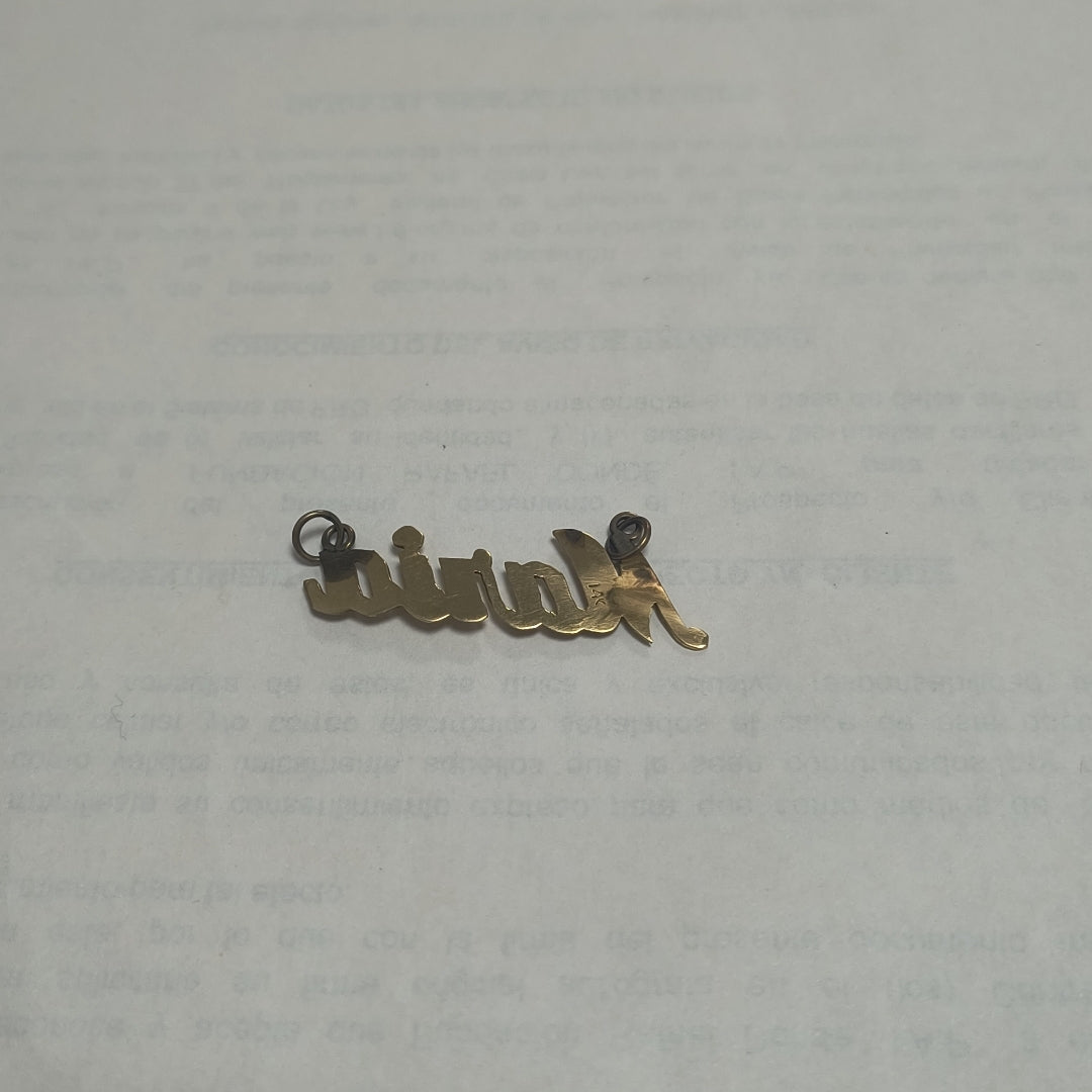DIJE ORO 14 K 1.4 GRMS (SEMINUEVO)