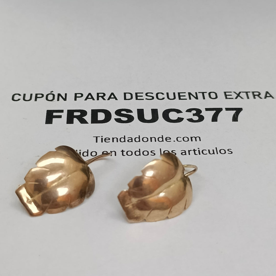 ARETES PAR ORO 10 K 1.7 GRMS (SEMINUEVO)