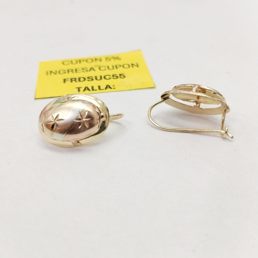 ARETES PAR ORO 10 K 1,40 GRMS (SEMINUEVO)