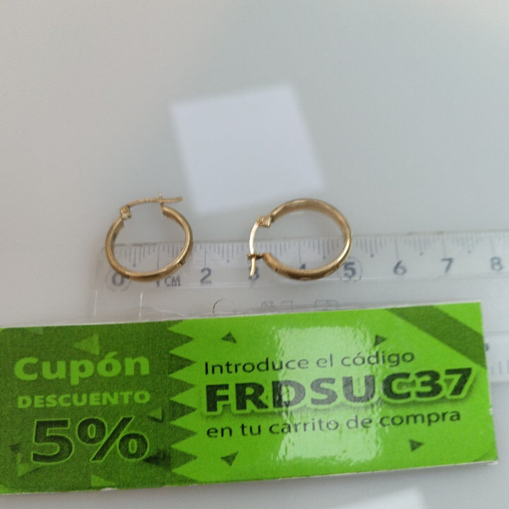 ARRACADAS PAR ORO 10 K 2 GRMS (SEMINUEVO)