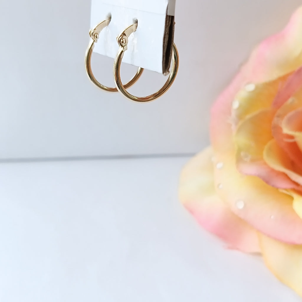ARETES ARRACADAS 14K 1.2 GR (NUEVO)