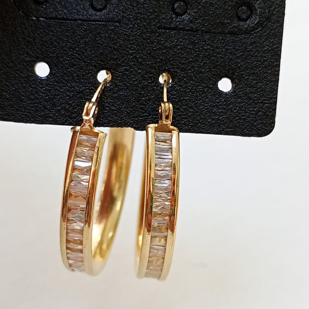 ARETES PAR ORO 10 K 7.3 GRMS (SEMINUEVO)