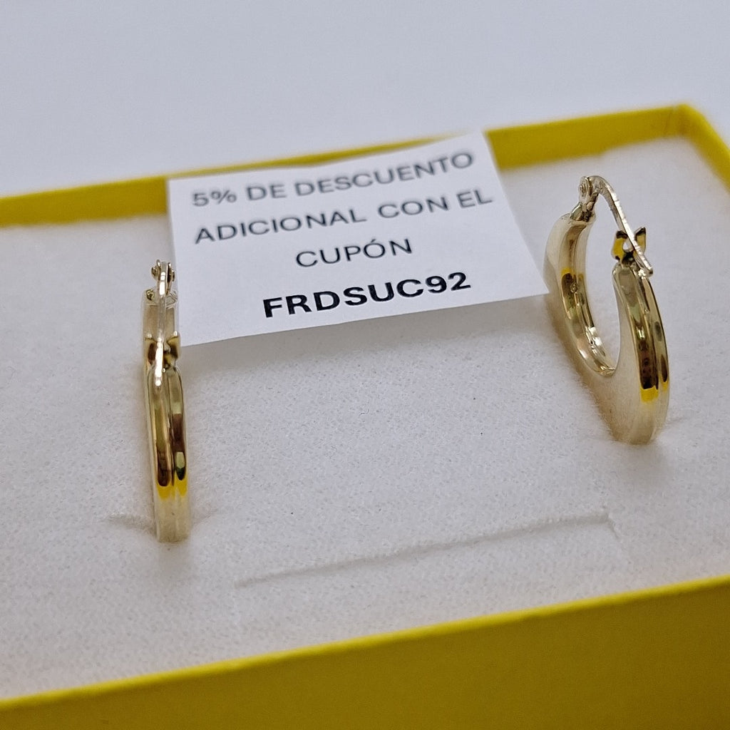 ARRACADAS ORO 10K 2 (NUEVO)