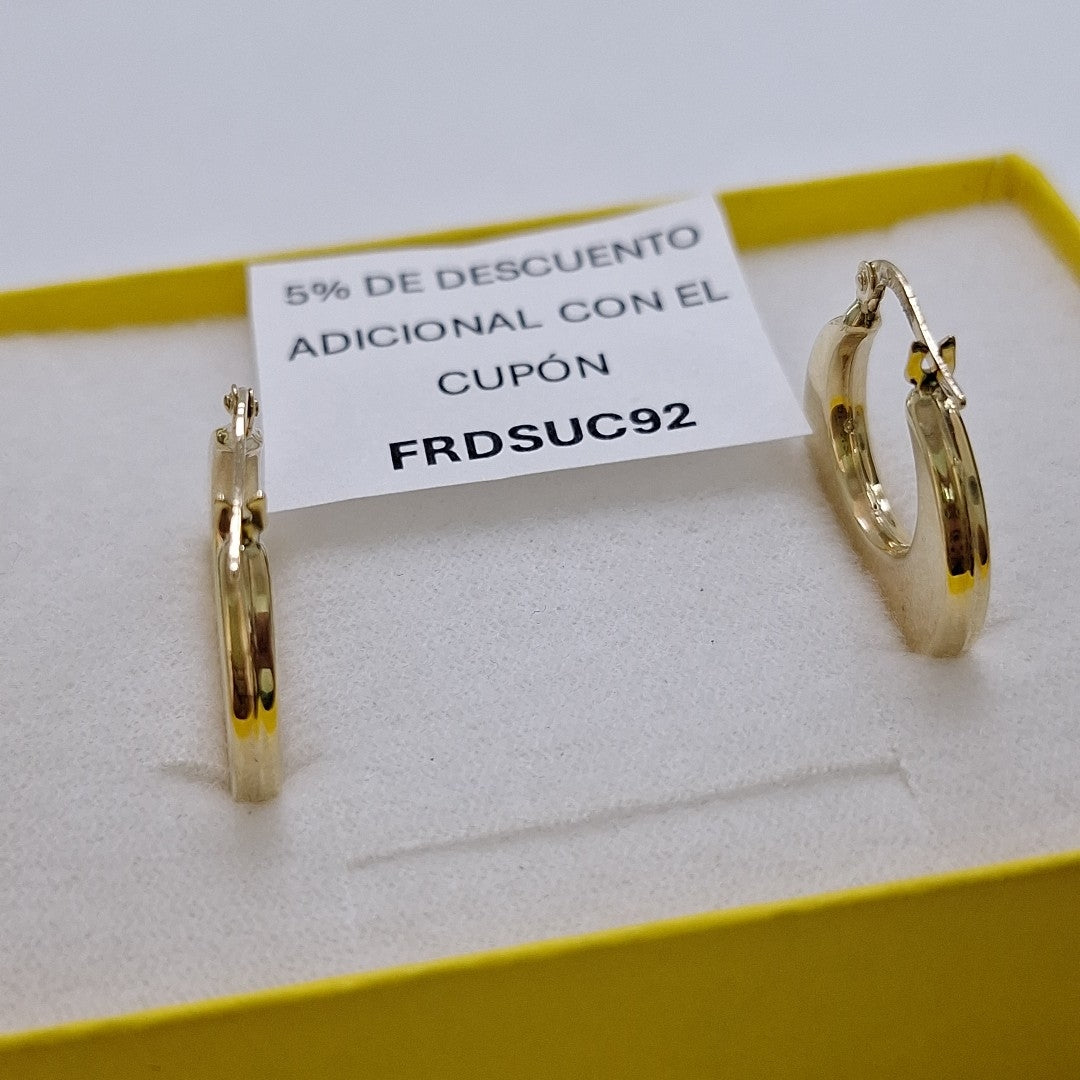 ARRACADAS ORO 10K 2 (NUEVO)